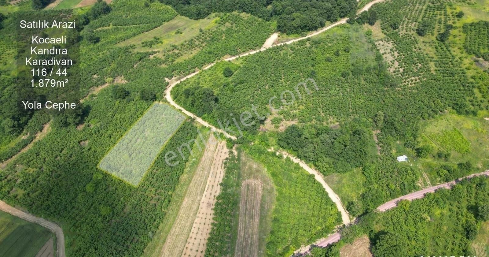 Kandıra Karadivan Satılık Bağ & Bahçe KOCAELİ KANDIRA KARADİVAN' DA KADASTRAL YOLA CEPHE ARAZİ