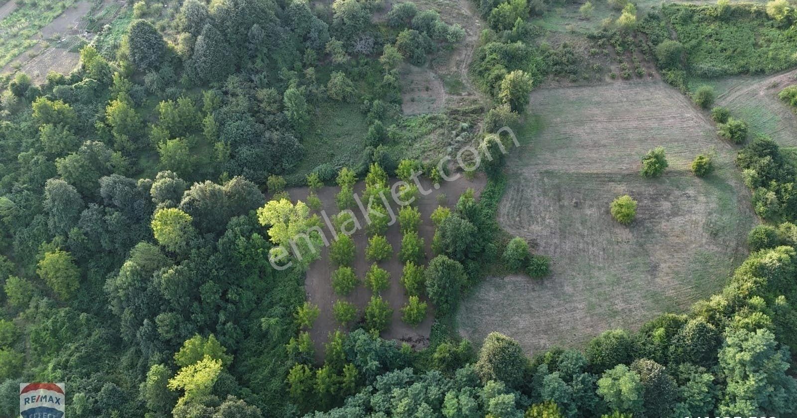 Kartepe Havluburun Satılık Bağ & Bahçe KOCAELİ KARTEPE AVLUBURUN' DA SATILIK FIRSAT ARAZİ