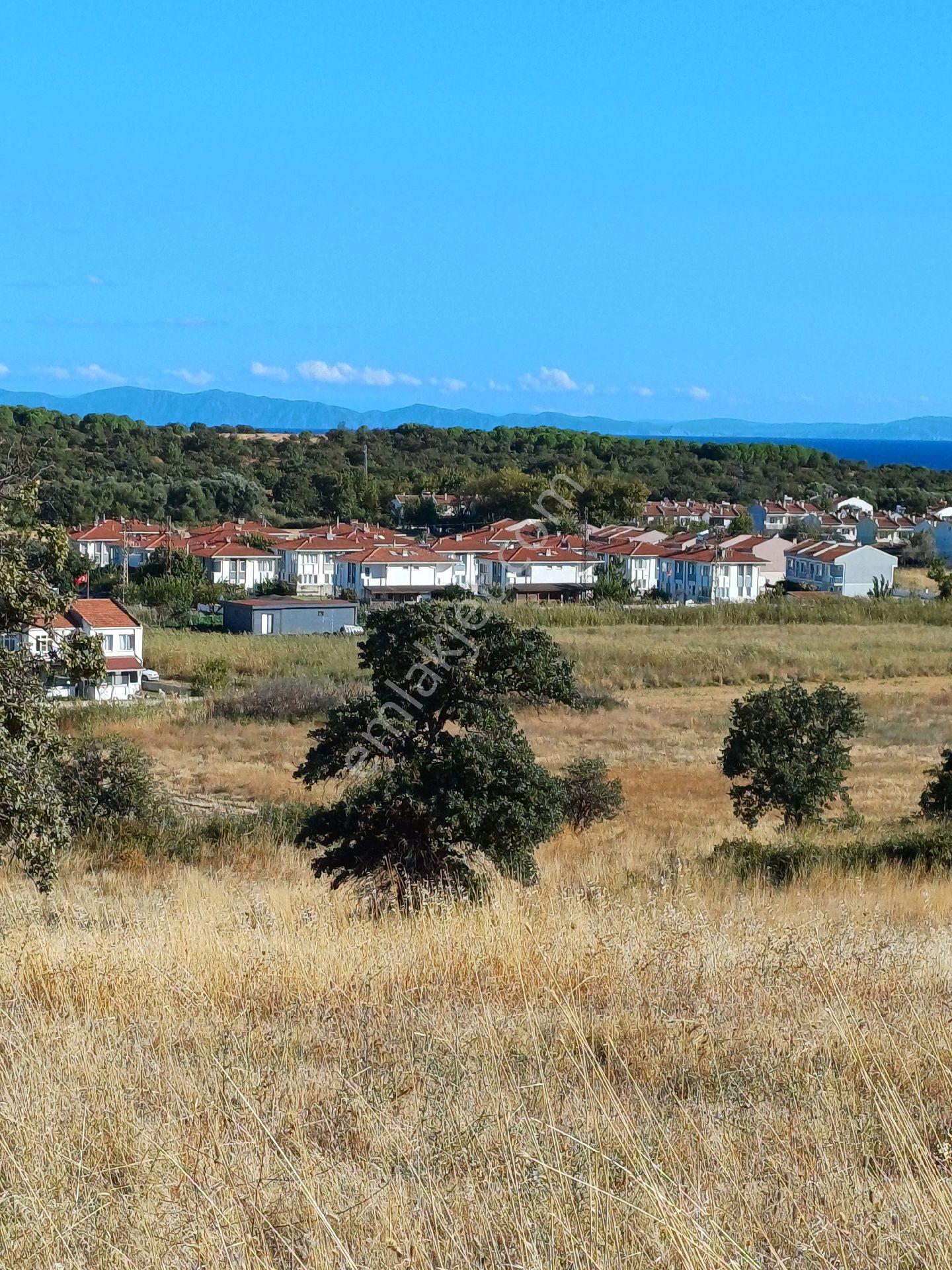 Deniz Manzaralı Tarla - Görsel 7