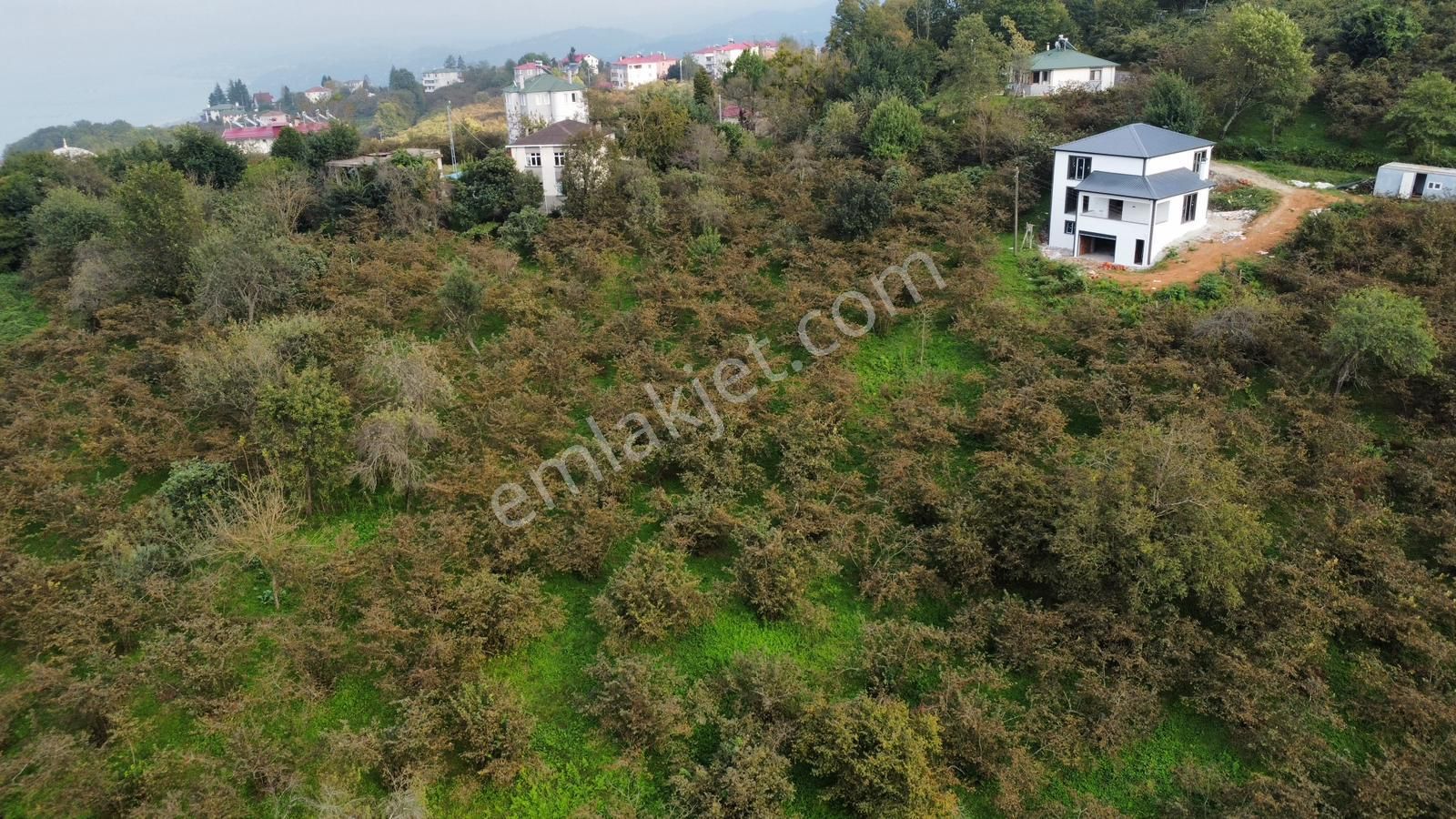 Trabzon Kavalada Satılık Arazi - Görsel 17