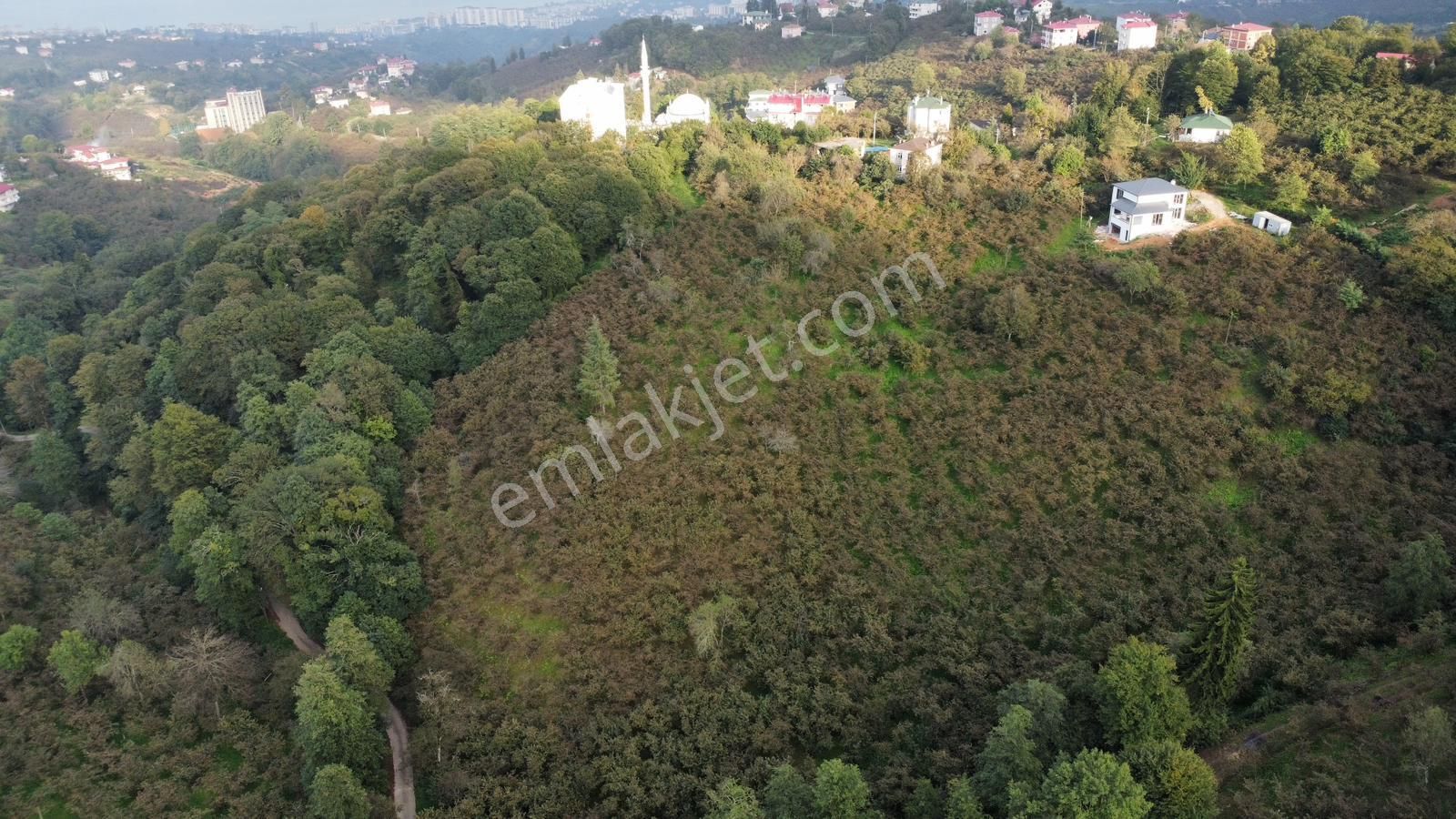 Trabzon Kavalada Satılık Arazi - Görsel 21