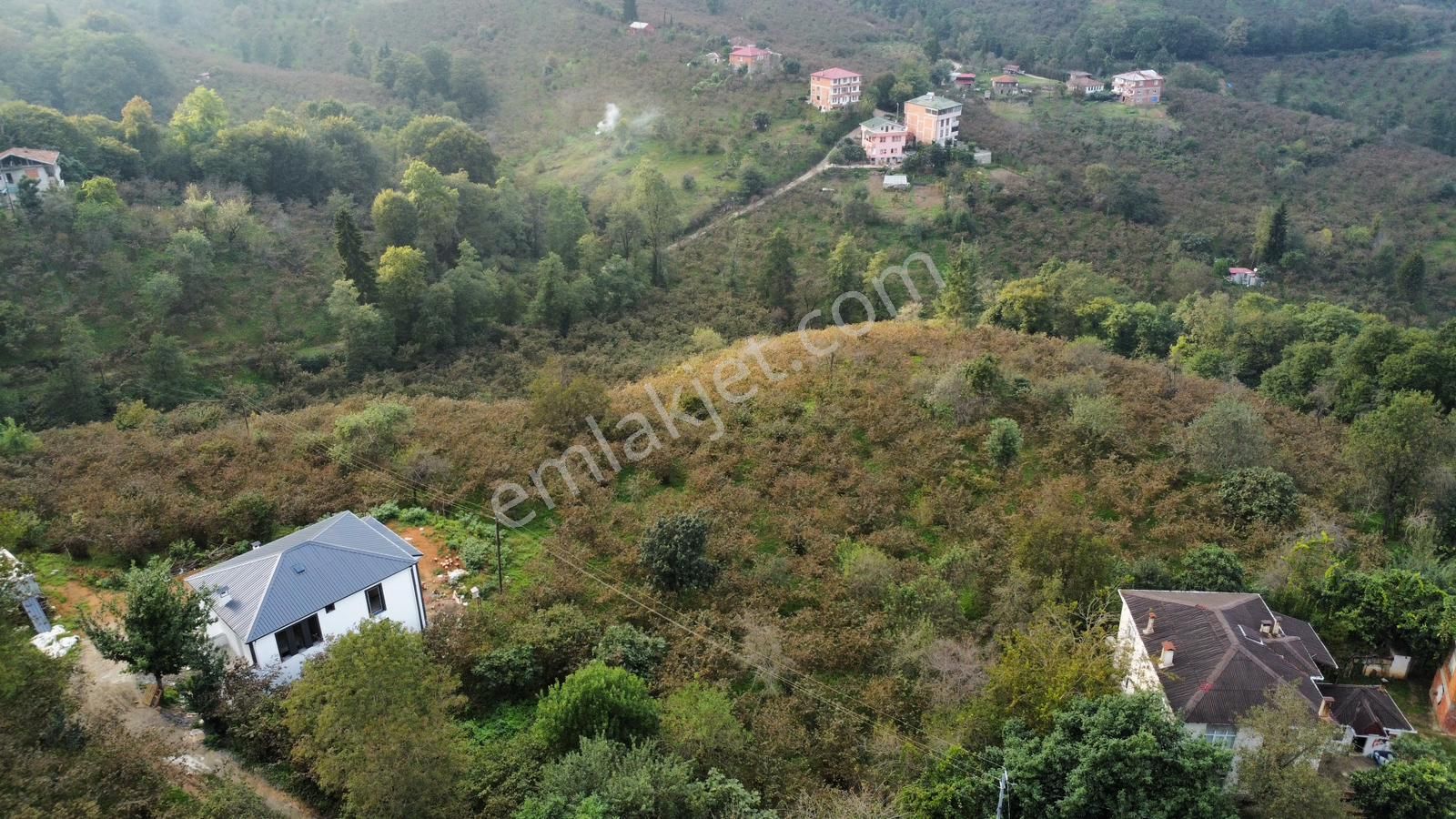 Trabzon Kavalada Satılık Arazi - Görsel 14