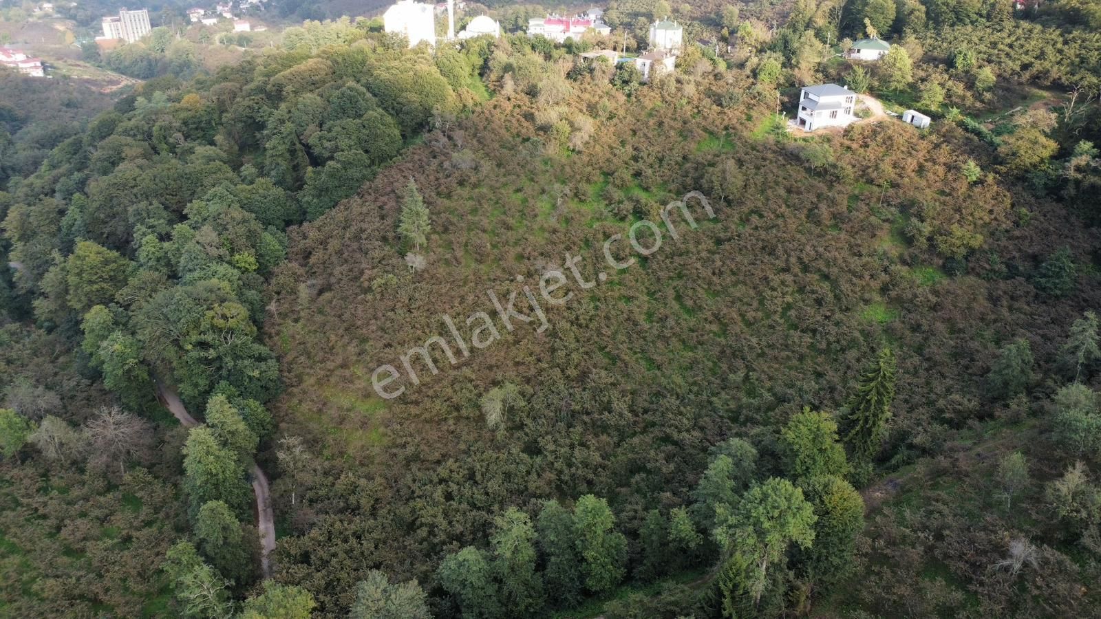 Trabzon Kavalada Satılık Arazi - Görsel 23
