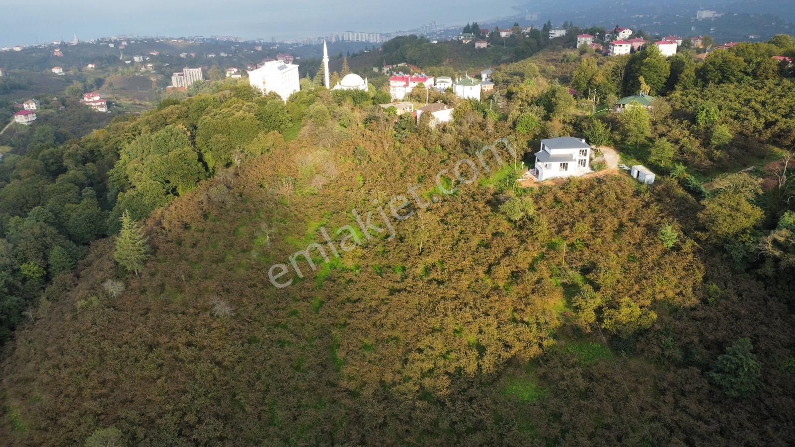 Trabzon Kavalada Satılık Arazi - Görsel 25
