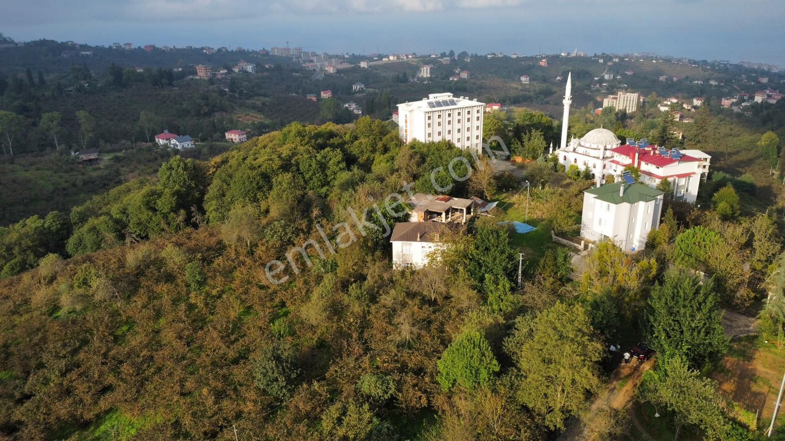 Trabzon Kavalada Satılık Arazi - Görsel 2