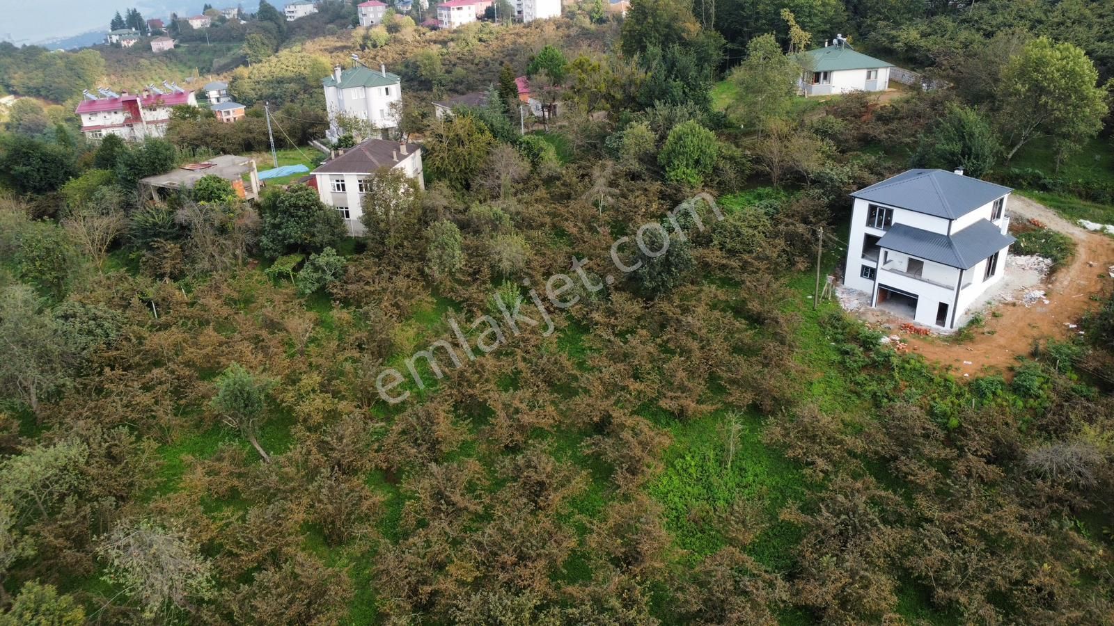 Trabzon Kavalada Satılık Arazi - Görsel 16