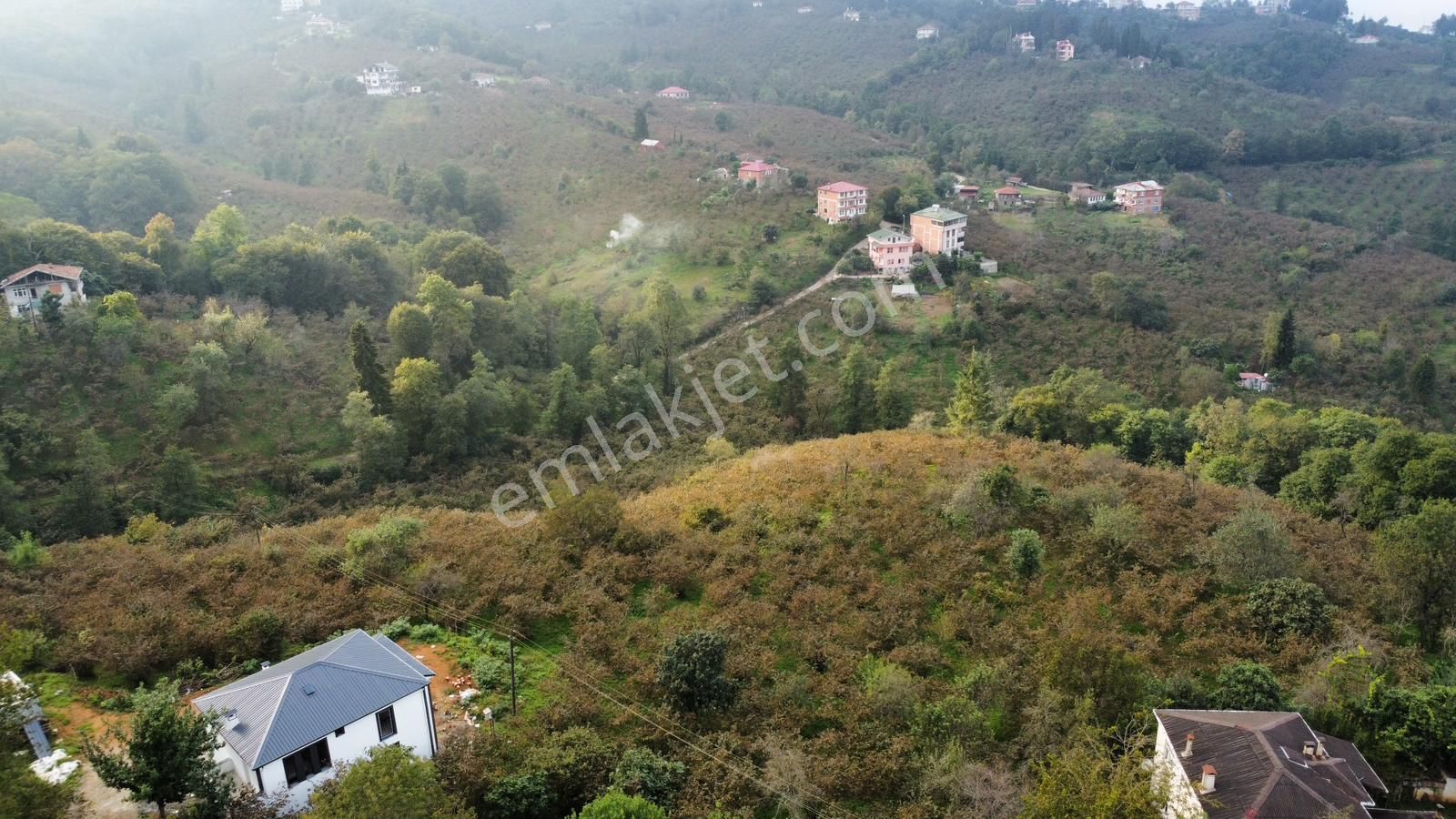 Trabzon Kavalada Satılık Arazi - Görsel 15
