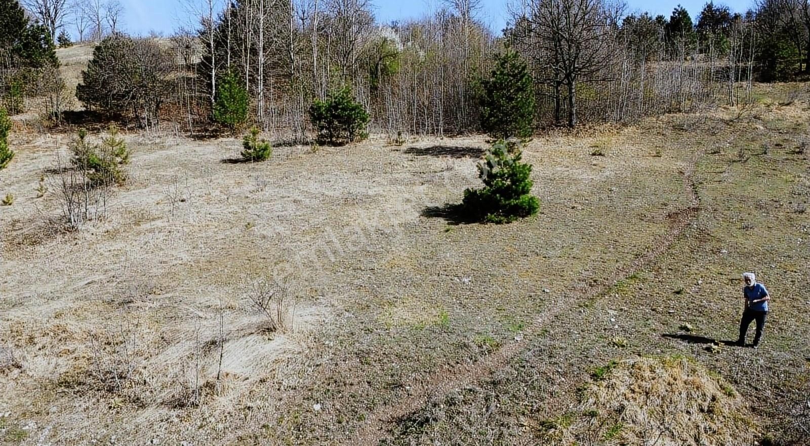 Mudurnu Dereköy Köyü Satılık Tarla Bolu Mudurnu Dereköy De Karamurat Gölü Manzaralı Yolu Açık Tarla