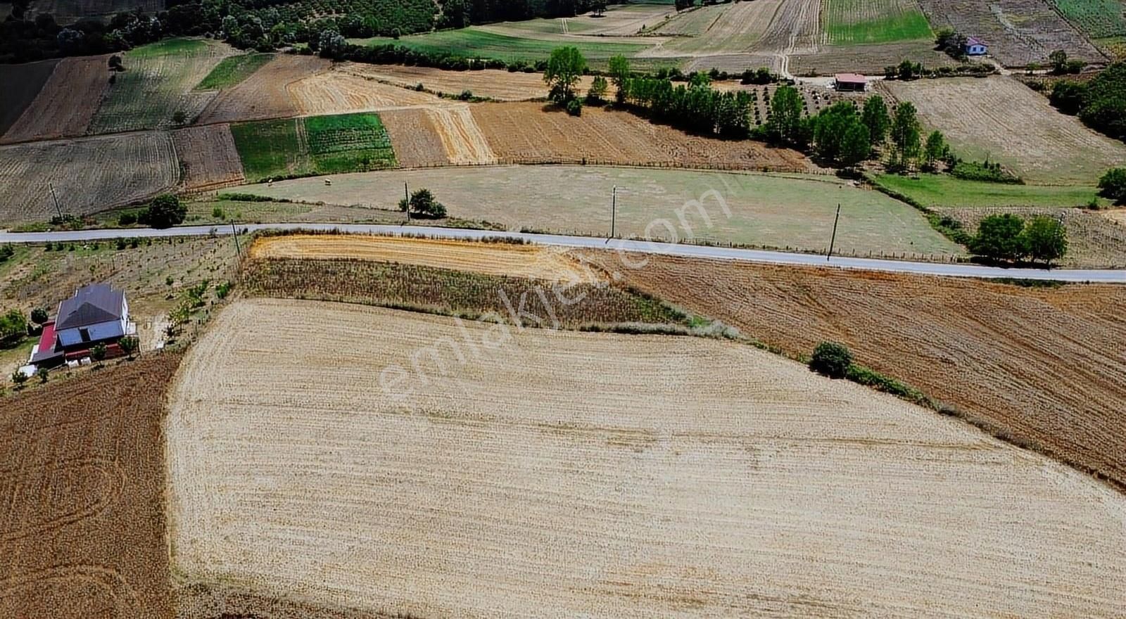 Kaynarca Taşoluk Satılık Tarla Sakarya Kaynarca Taşoluk 915 M2 Satılık Keyiflik Manzaralı Tarla