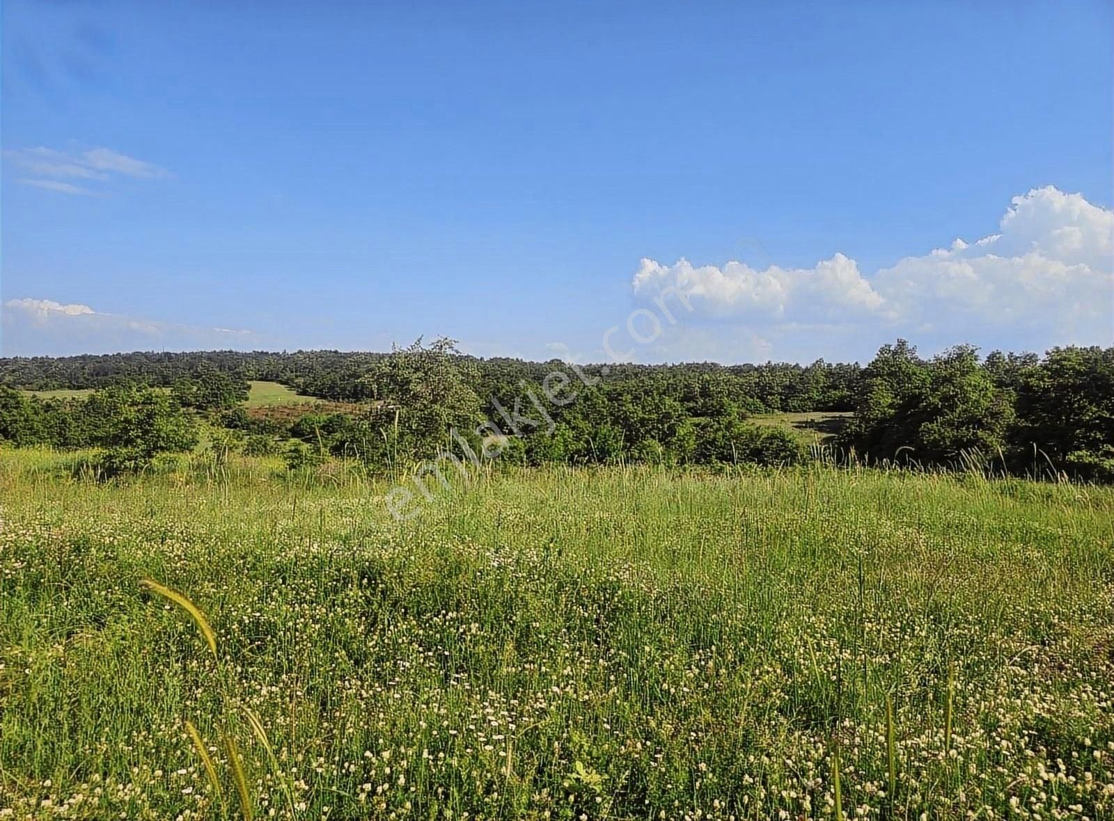 Mustafakemalpaşa Körekem Satılık Tarla KÖREKEM KÖYÜNDE 2715M2 MÜSTAKİL PARSEL SATILIK TARLA