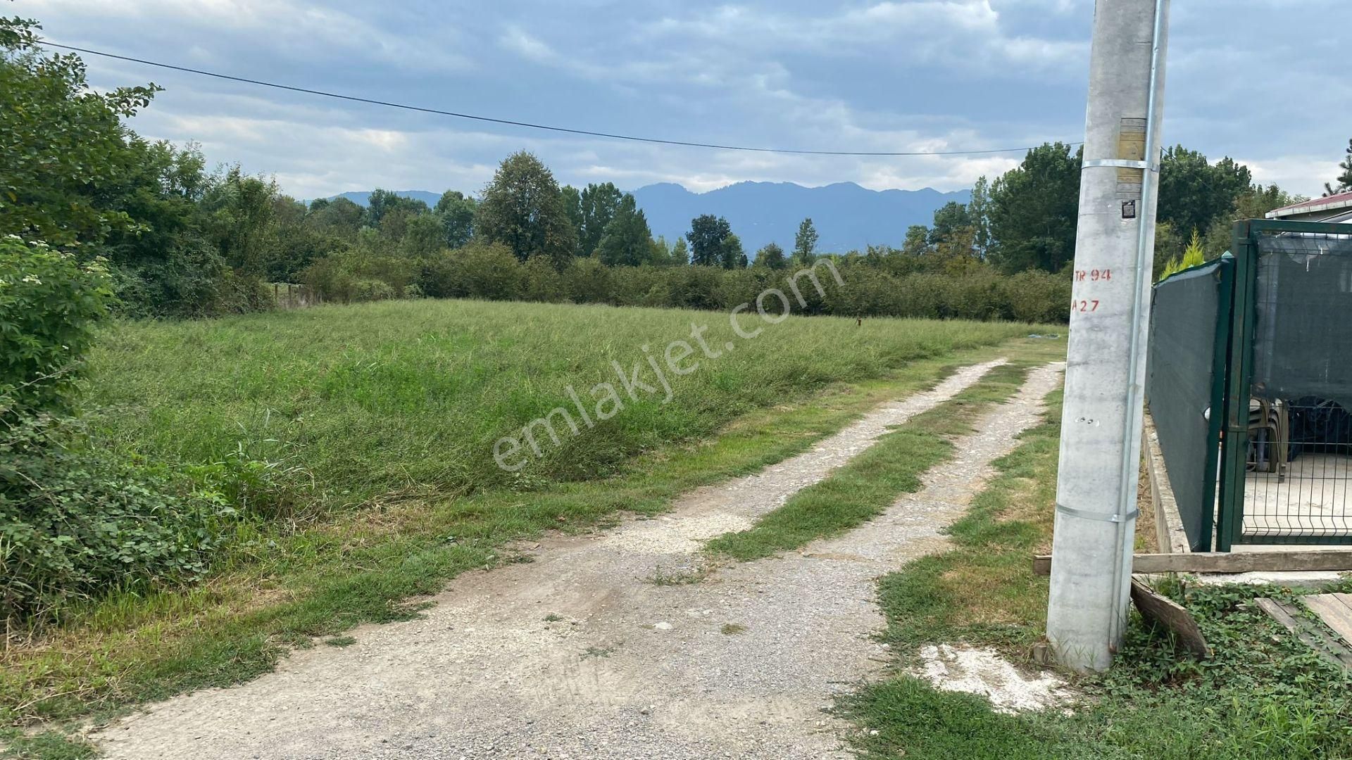 Düzce Merkez Darıcı Satılık Konut İmarlı  RW ADAPLATİN'DEN DÜZCE MERKEZ DARICI DA ÖZEL YATIRIMLIK ARSA