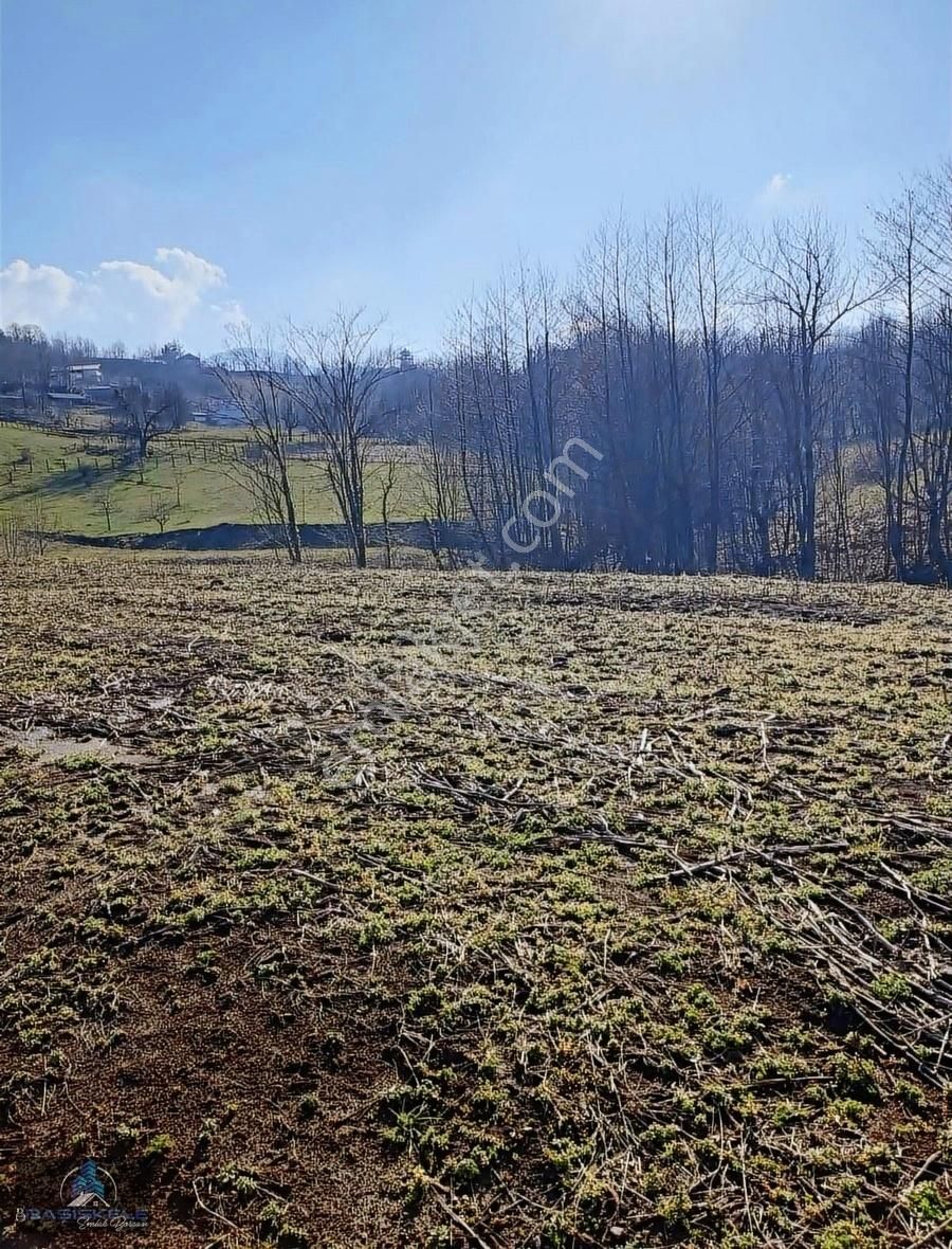 Başiskele Aksığın Satılık Tarla Basiskele Akşigin Eğimi Düzgün Yatirimlik Tarla