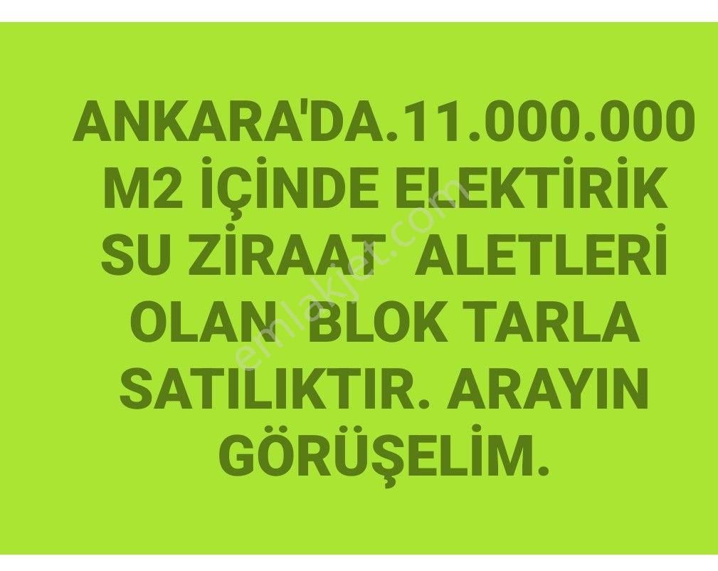 Şereflikoçhisar Şeyh Kuyusu Satılık Tarla sezenler emlaktan Ankara da satılık tarla