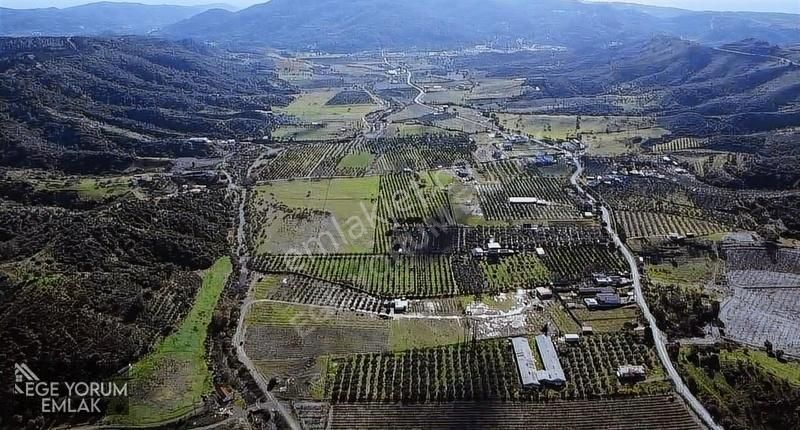 Çok Acilll,60.545m2 Tarla Muhteşem Konumda,detaylar Açıklamada - Görsel 5