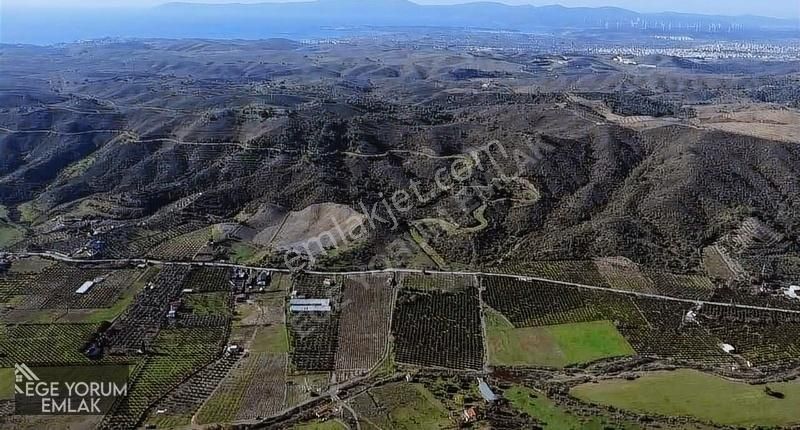 Çok Acilll,60.545m2 Tarla Muhteşem Konumda,detaylar Açıklamada - Görsel 3