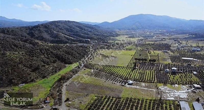 Çok Acilll,60.545m2 Tarla Muhteşem Konumda,detaylar Açıklamada - Görsel 2