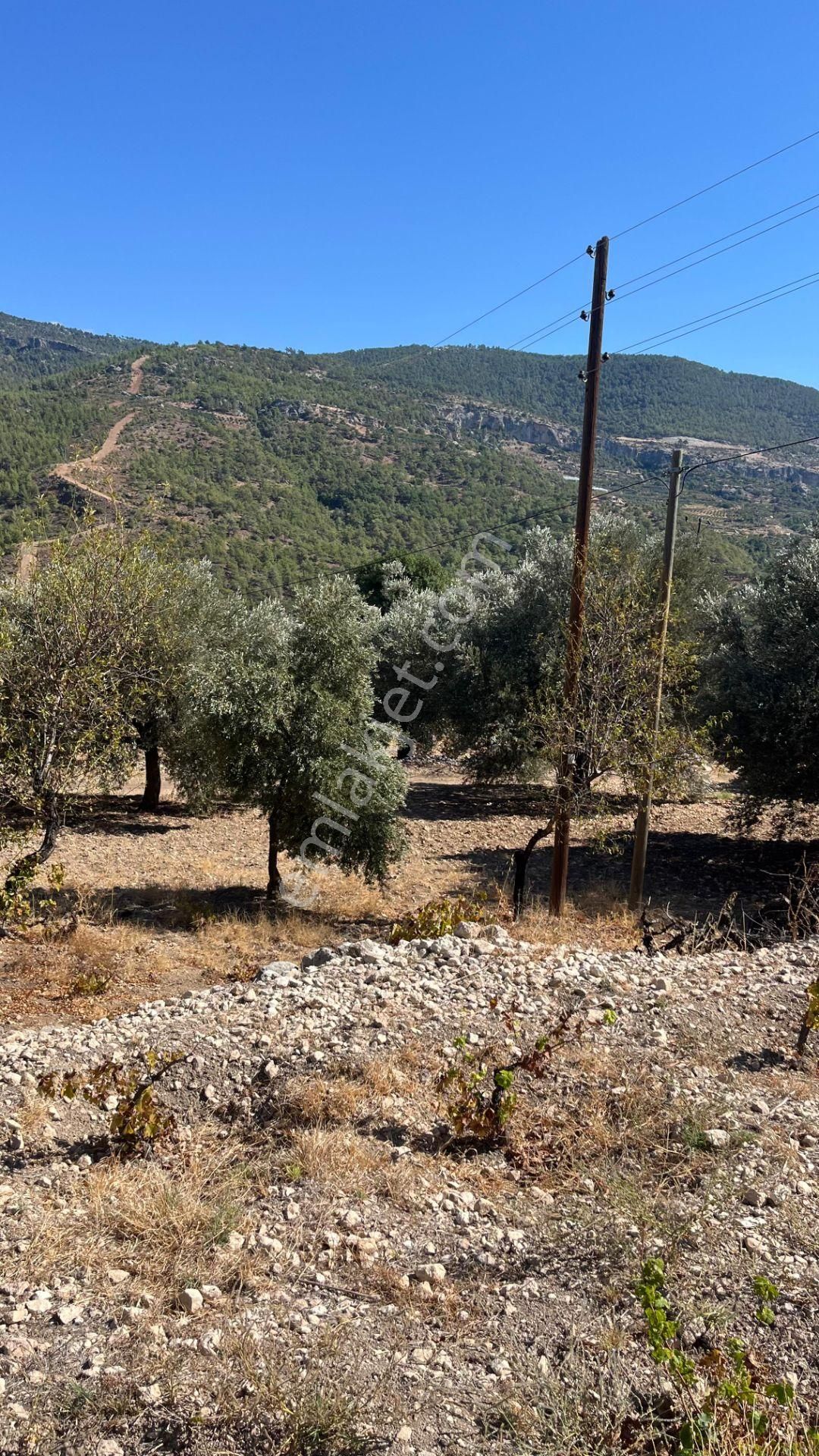 Silifke Karakaya Satılık Tarla  Artı Değer Gayrimenkulden Silifke Karakaya da Satılık Tarla