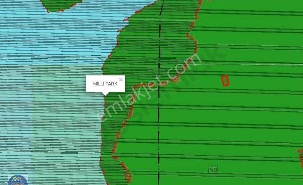 Develi Sindelhöyük Fatih Satılık Tarla MEKAN EMLAK'TAN SİNDELHÖYÜK'TE UYGUN FİYATLI 19000 M2'LİK SATILIK TARLA