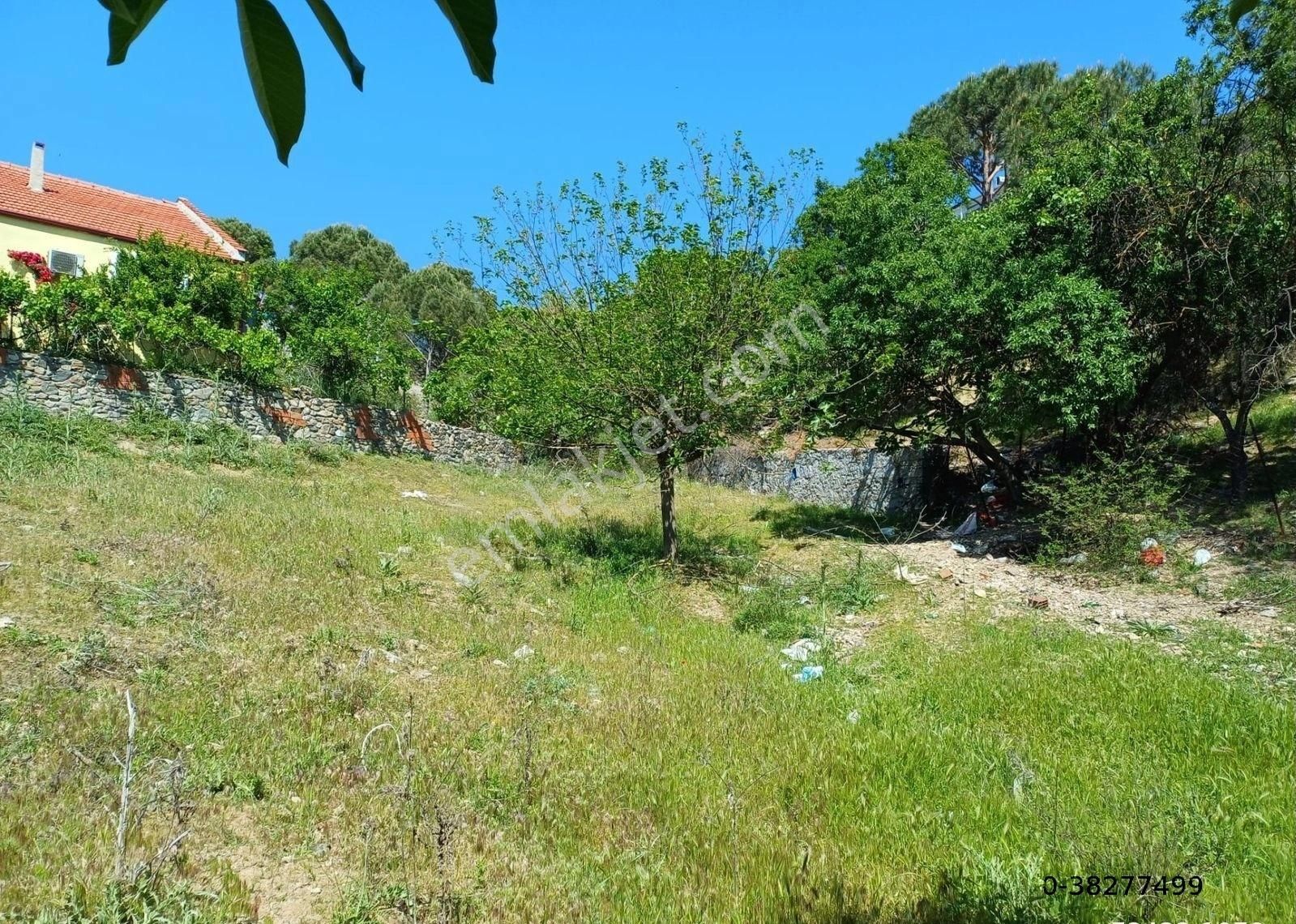 Ayvalık Çamoba Satılık Konut İmarlı AYVALIK , ÇAMOBA KÖY İÇİNDE , DOĞAL KAYNAK SUYU OLAN ARSA