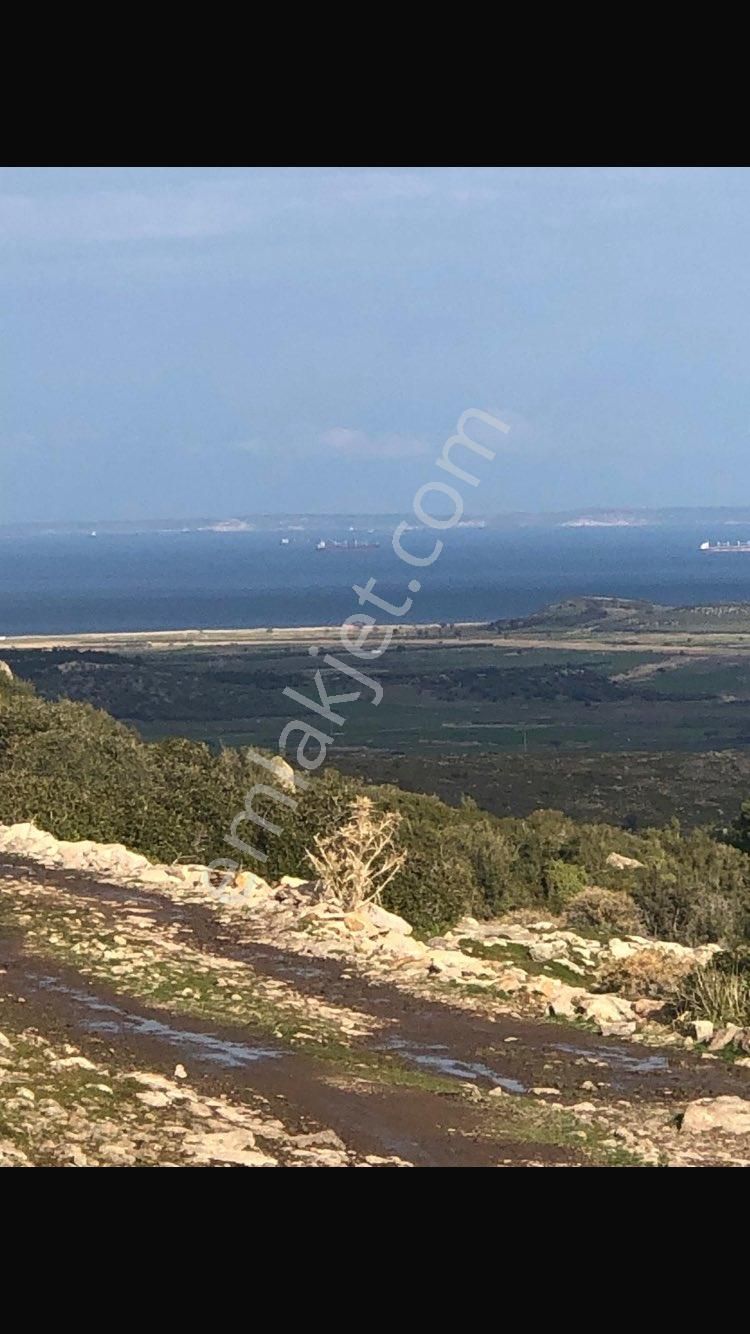 Ayvacık Gülpınar Köyü (Kızılkeçili) Satılık Tarla Pamir Emlaktan Satılık