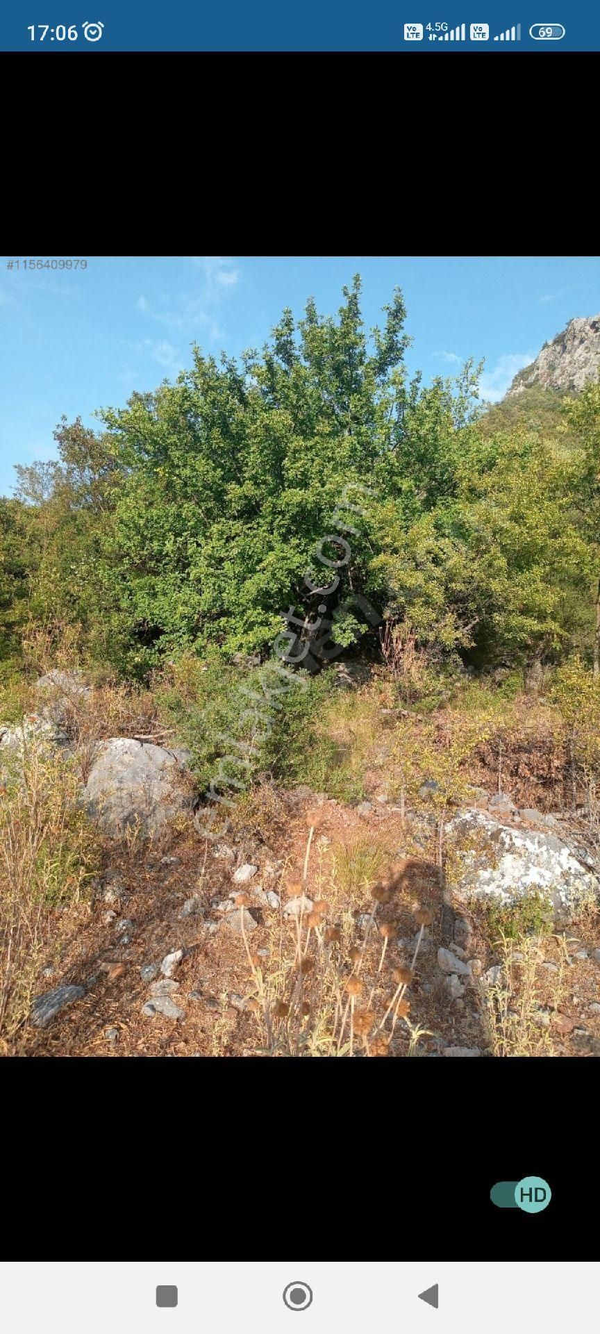 Gazipaşa Çakmak Satılık Tarla Ekip biçip dikeyim yerim olsun diyenlere uygun fiyat kupon arsa