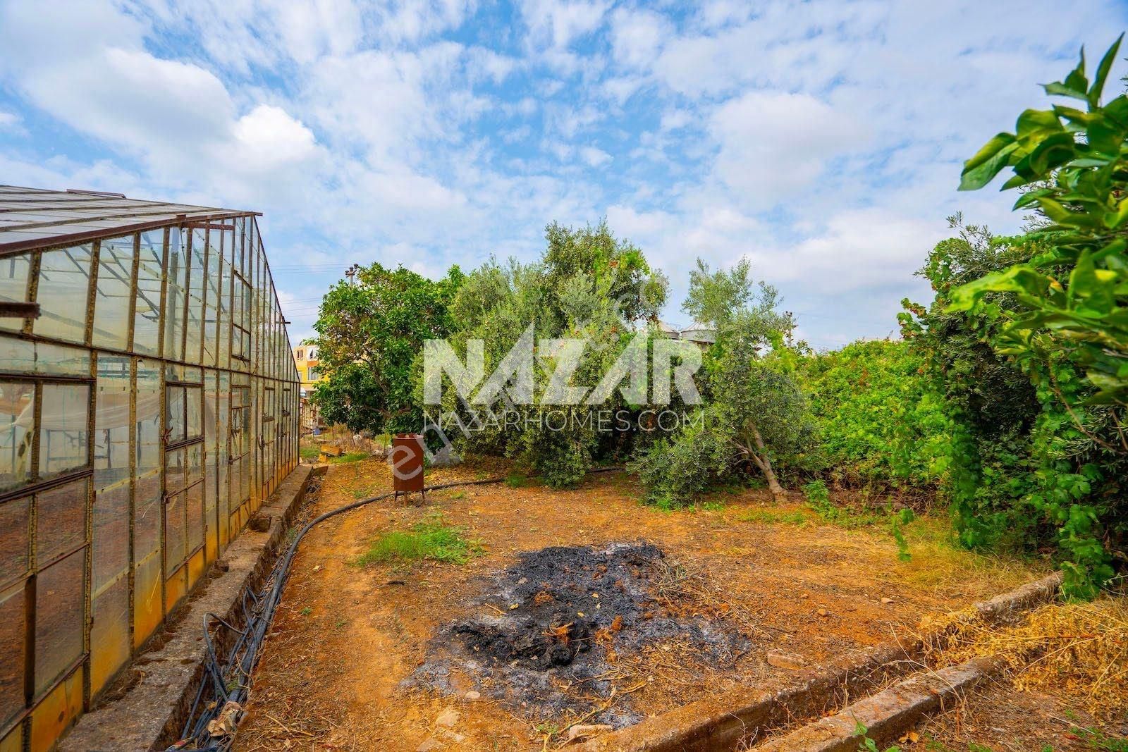 Gazipaşa Sarıağaç'da 3.392 M² Satılık Tarla Ve Sera - Görsel 26