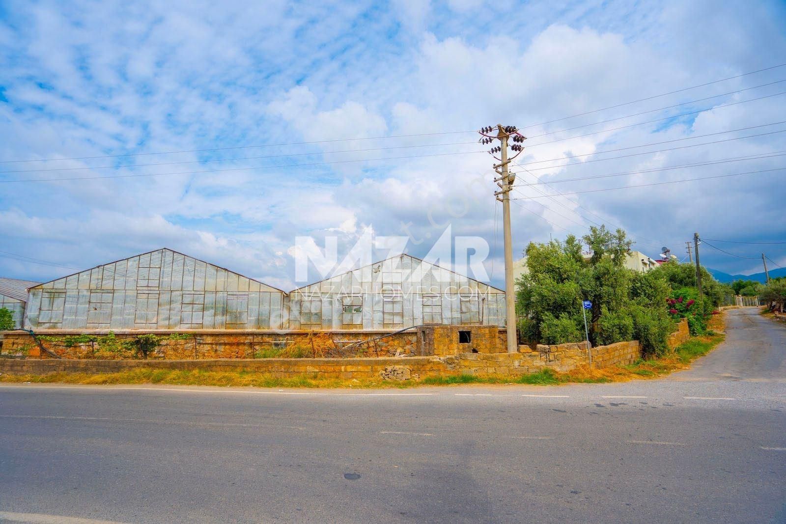 Gazipaşa Sarıağaç'da 3.392 M² Satılık Tarla Ve Sera - Görsel 17
