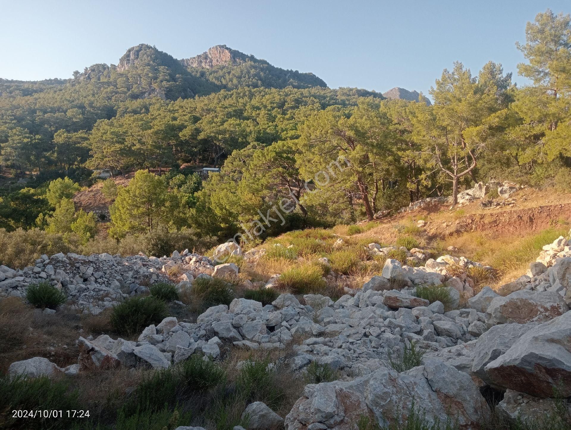 Antalya Kumluca Mavikent'te Satılık Tarla İnceoğlu Emlak - Görsel 28