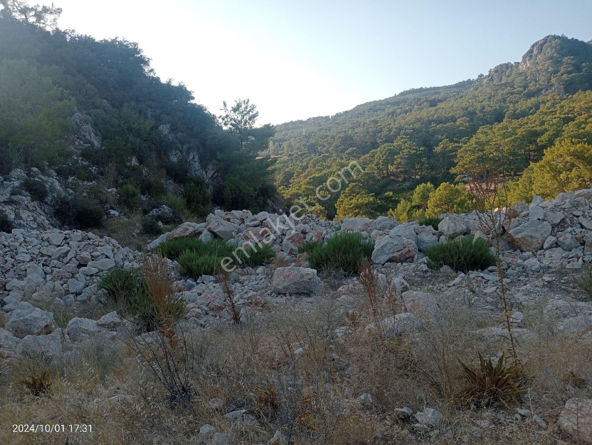Antalya Kumluca Mavikent'te Satılık Tarla İnceoğlu Emlak - Görsel 9