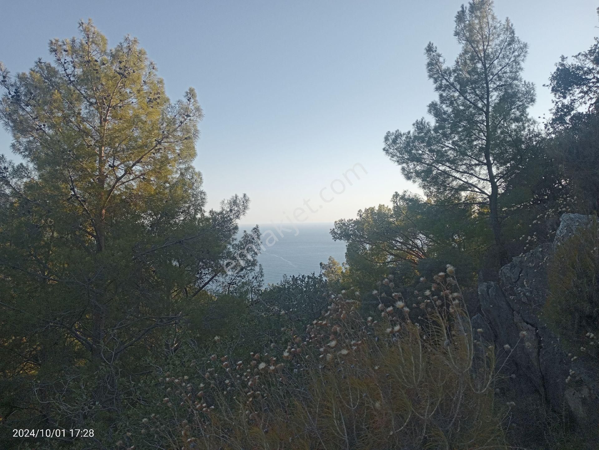 Antalya Kumluca Mavikent'te Satılık Tarla İnceoğlu Emlak - Görsel 15