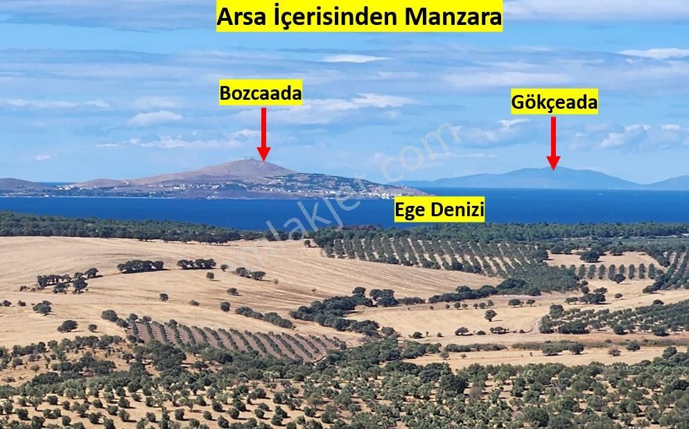 Ezine Körüktaşı Köyü Satılık Tarla  Çanakkake Ezine Körüktaşı Satılık Deniz ve Bozcaada Manzaralı 9147 m2 Tarla.