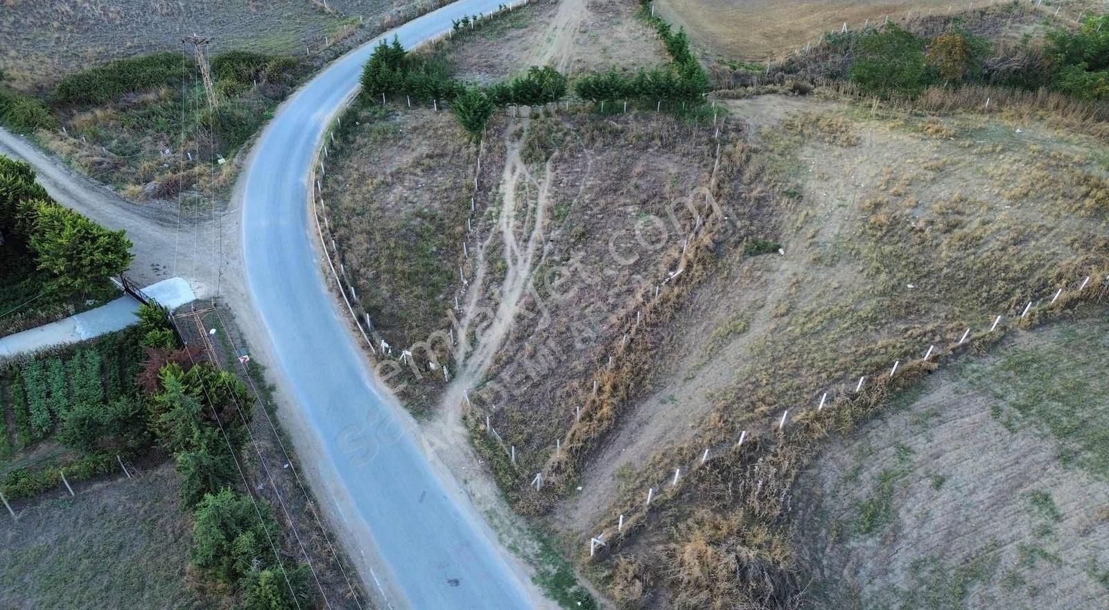 Silivri Çanta Sancaktepe Satılık Tarla Silivri Çantaköy'de Asfalt Cephe Tek Tapu Tarla