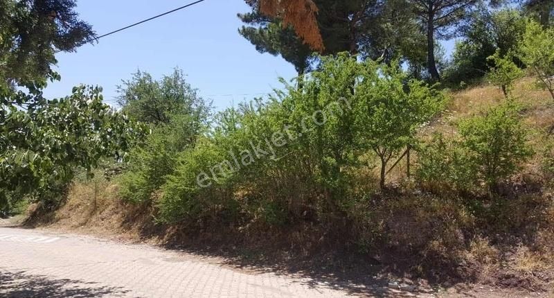 Küçükkuyu Çetmibaşı Köyde İmarlı Deniz Manzaralı Satılık Arsa - Görsel 10