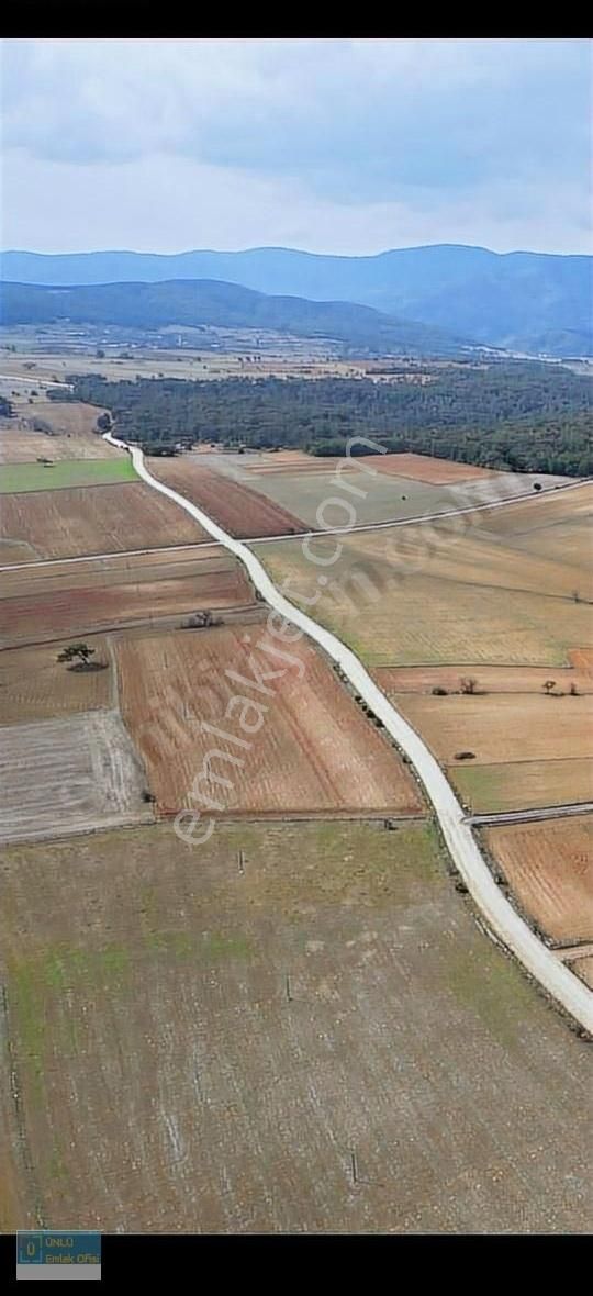 Kastamonu Merkez Kuzeykent Satılık Tarla Ünlü Emlaktan Tek Tapu 26530m Yola Cephe Satılık Çiftlikarazisi