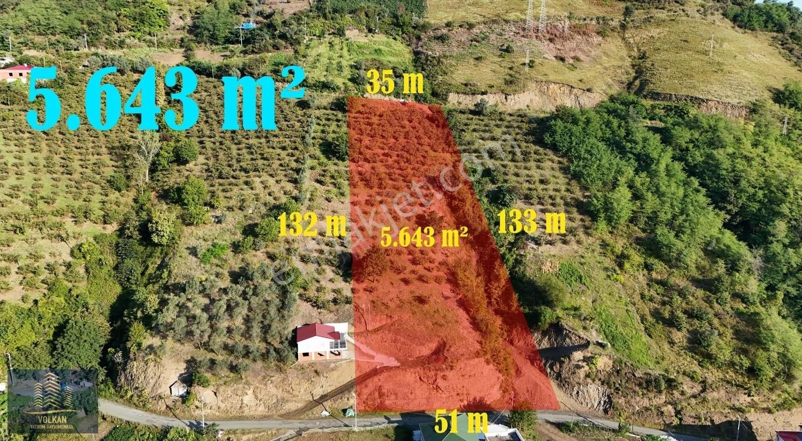 Akçaabat Darıca Satılık Tarla Darıca Mahallesinde 5643 M2 Satılık Arazi