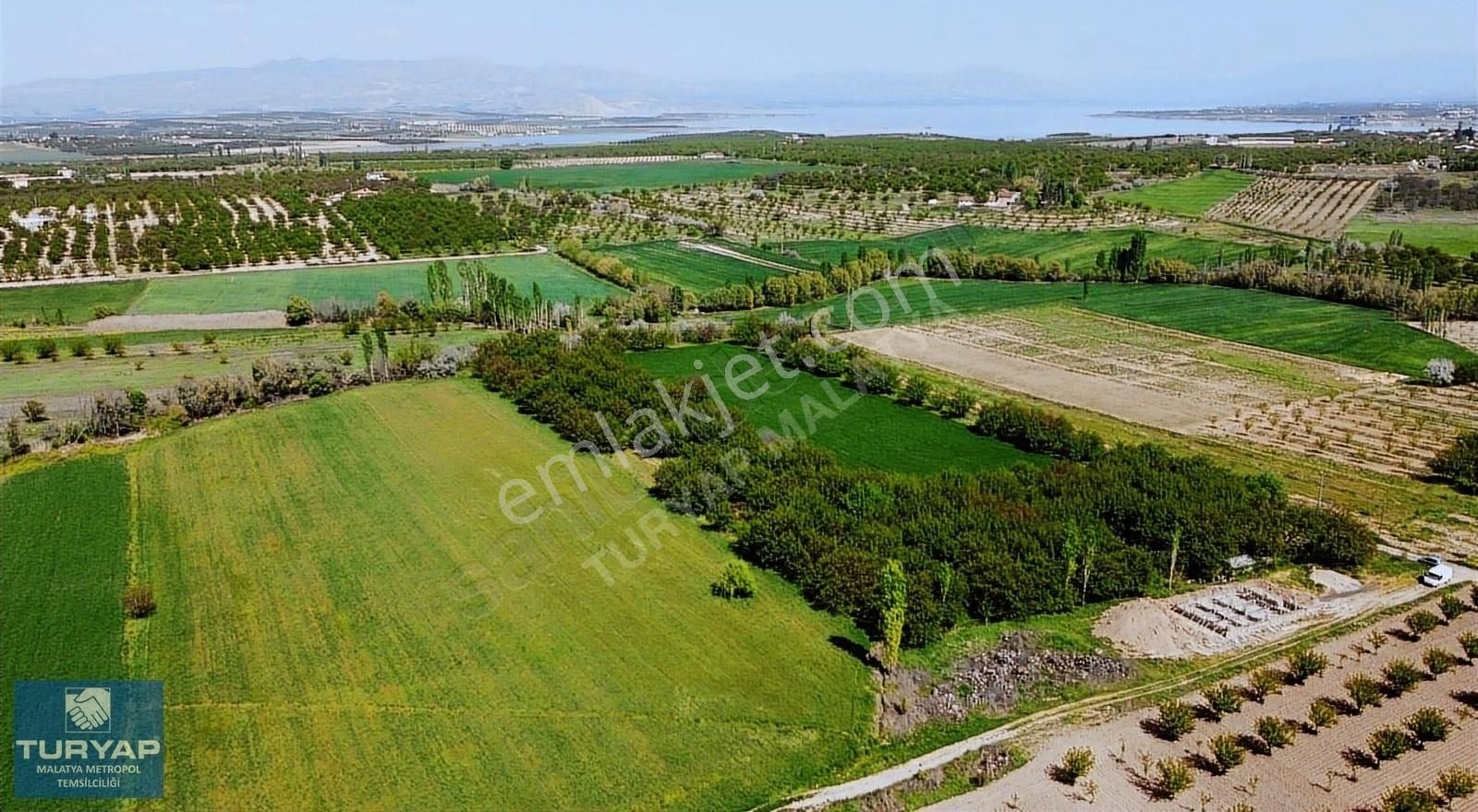 Yazıhan Dedekargın Satılık Tarla TURYAP'TAN YAZIHAN DEDEKARGIN'DA SATILIK SULU TARLA (6687m2)