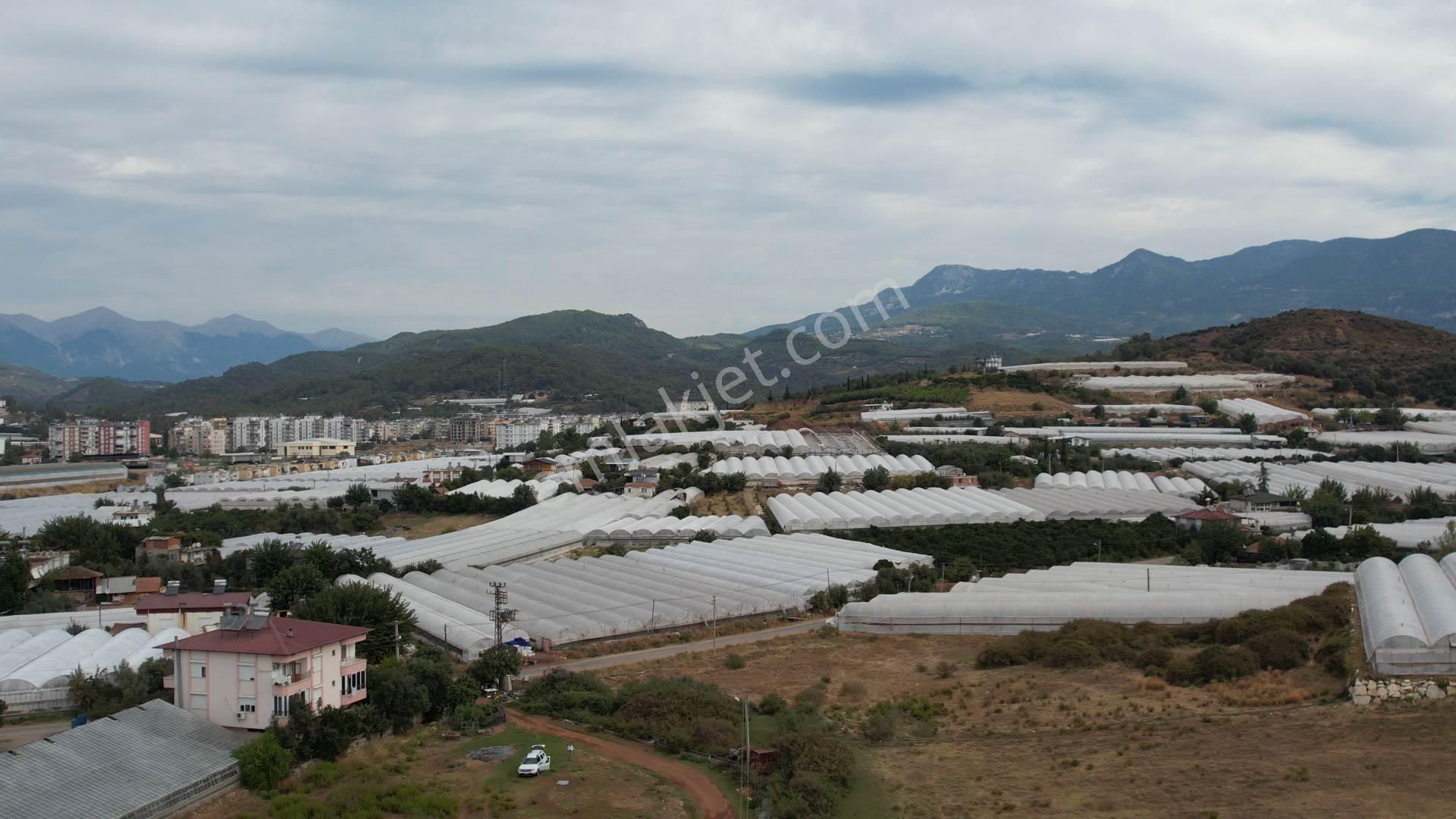 Kumluca Cumhuriyet Satılık Tarla KUMLUCA'DA TARIMSAL SOĞUK HAVA DEPOSU YAPMAYA UYGUN 6000 M2 ARAZİ SATILIKTIR