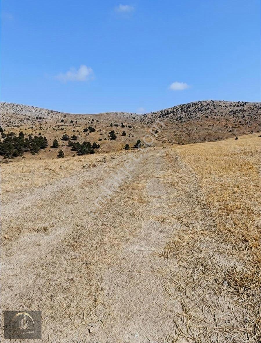 Yatırımlık,kupon Tarla, Müstakil... 48171 M2 - Görsel 11