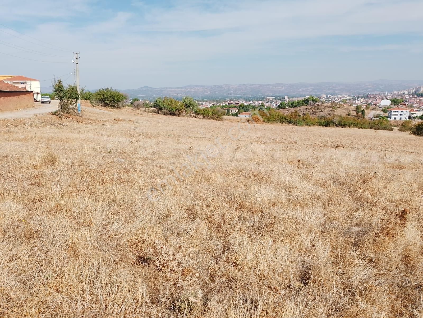 Sındırgı Rızaiye Satılık Konut İmarlı Balıkesir Sındırgı'da Satılık 15 Adet Arsa