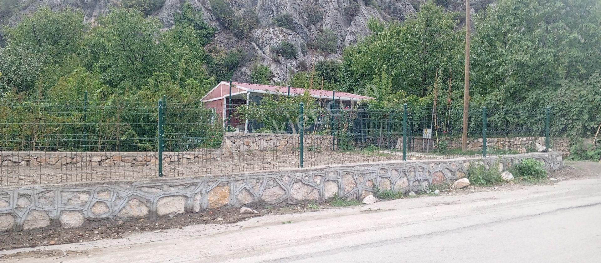 Amasya Merkez Yeşilyenice Satılık Bağ & Bahçe yatırımlık bahce