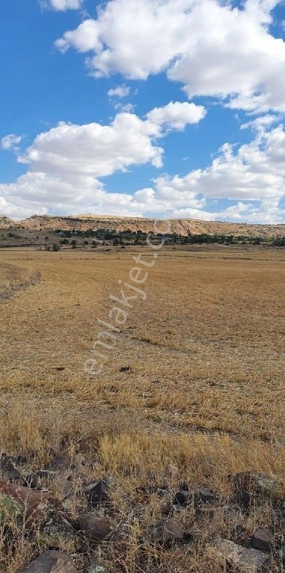 Melikgazi Gesi Satılık Bağ & Bahçe Gesi guneylerde satılık bahce