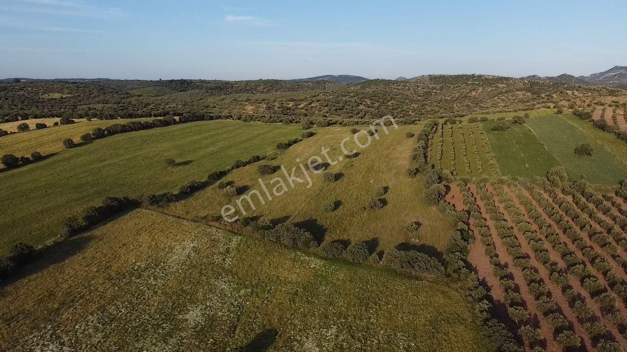 Ezine Körüktaşı Köyü (Kestanbol Kaplıcası) Satılık Tarla  ÇANAKKALE'DE BOZCAADA MANZARALI FIRSAT TARLA