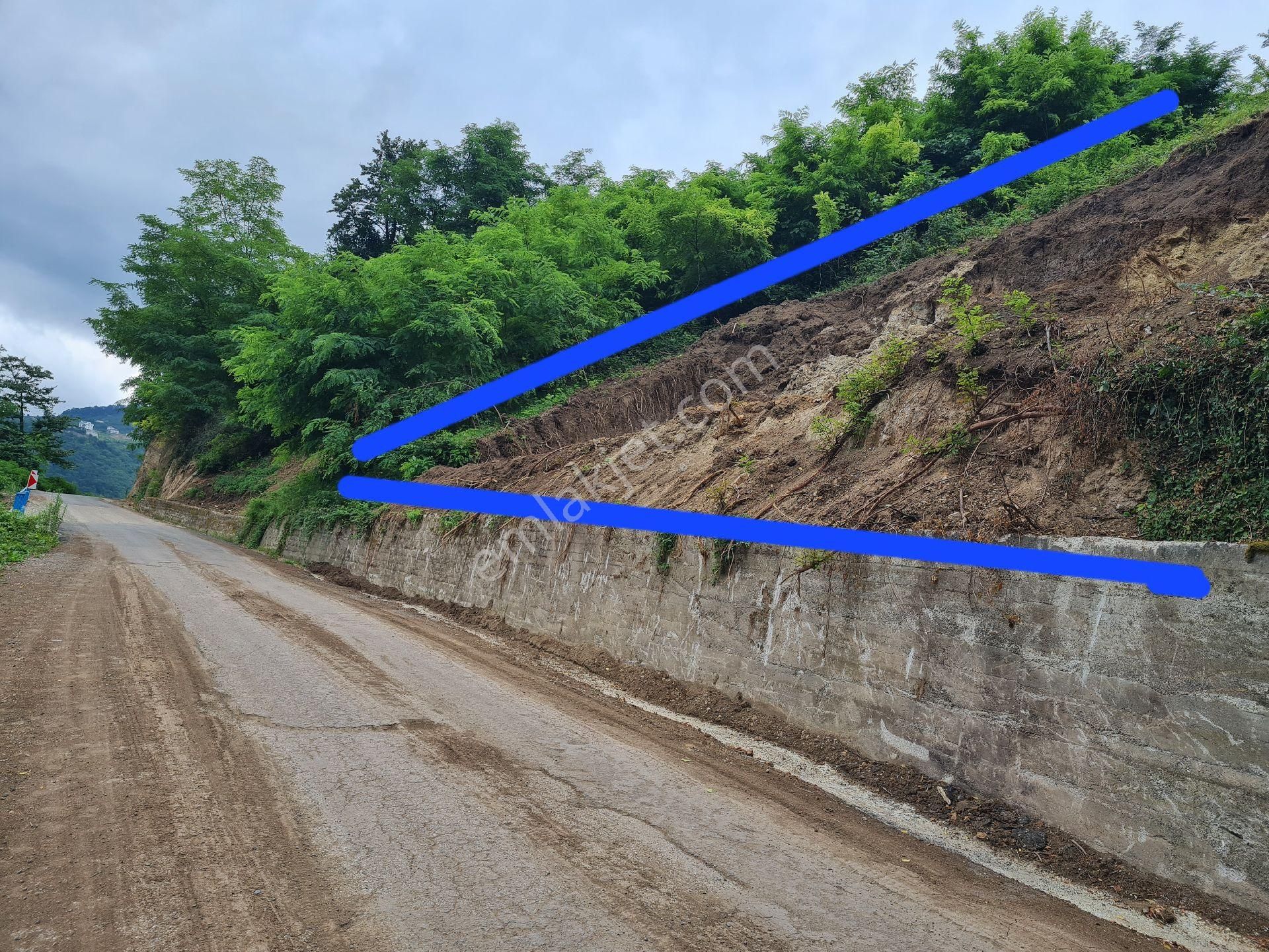 Trabzon Çağlayan Günay Mahallesi'nde İmara Açık 336 M² Satılık Arsa!
