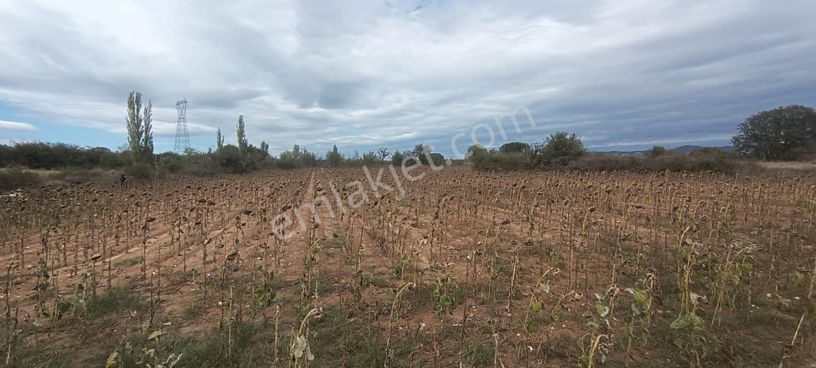 Üsküp Köyünde 5170m2 Satılık Tarla - Görsel 5