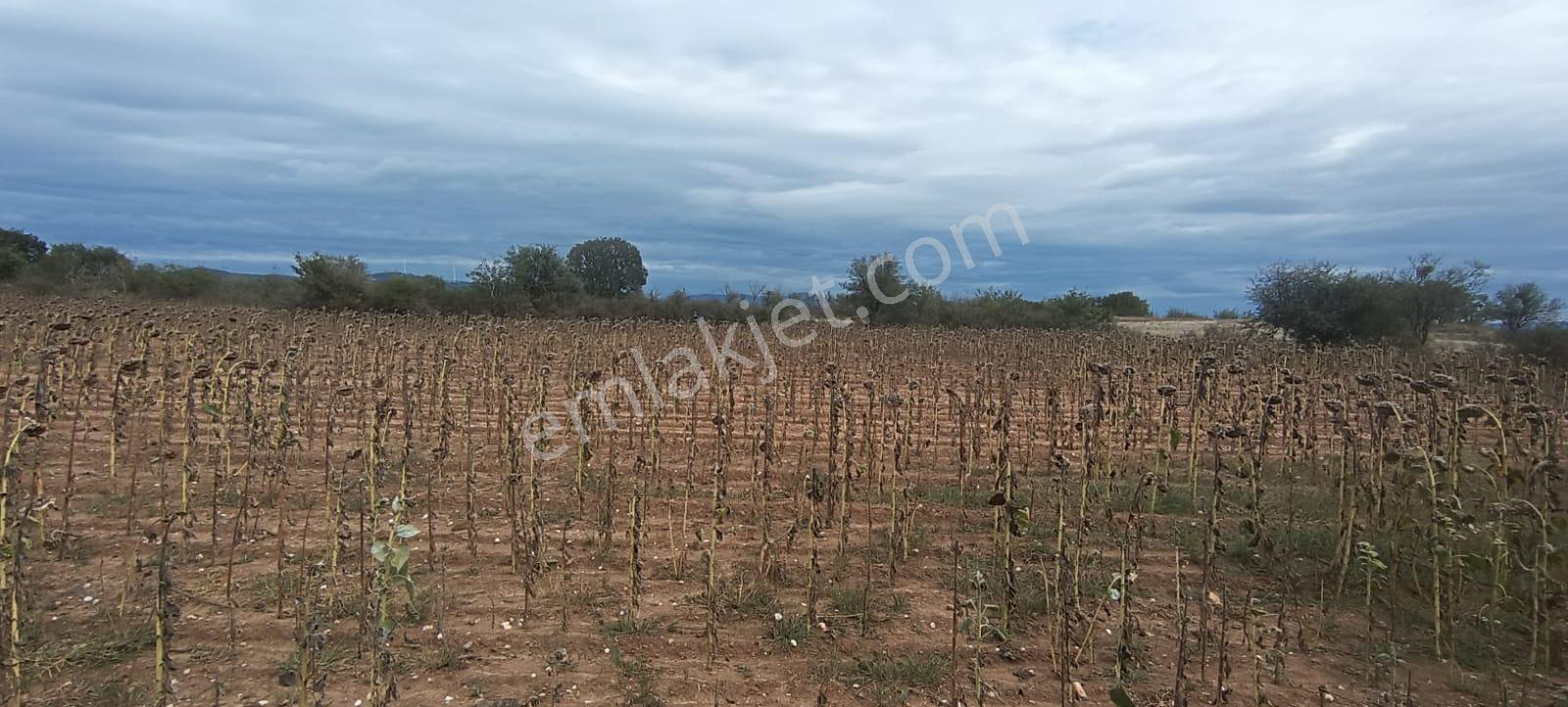 Üsküp Köyünde 5170m2 Satılık Tarla - Görsel 7