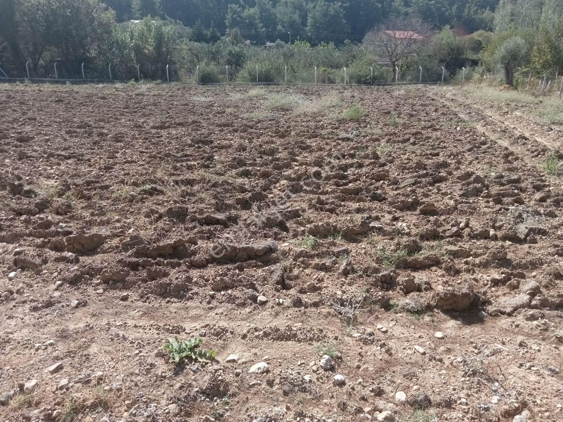 Menderes Değirmendere Satılık Bağ & Bahçe Öğretmen Emlaktan Değirmenderede 4500 M2 Tek Tapu Harika Tarla