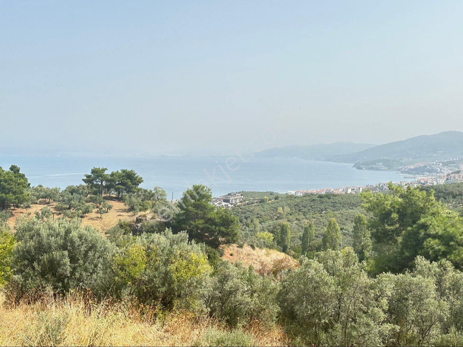 Tırpan Gayrimenkulden Mudanya Ömerbey Mah.4935 M2 Full Deniz Yola Cephe Satılık Zeytinlik - Görsel 2