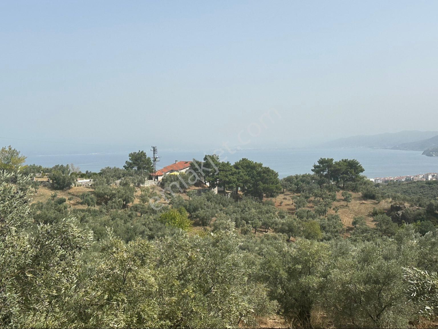 Tırpan Gayrimenkulden Mudanya Ömerbey Mah.4935 M2 Full Deniz Yola Cephe Satılık Zeytinlik - Görsel 13