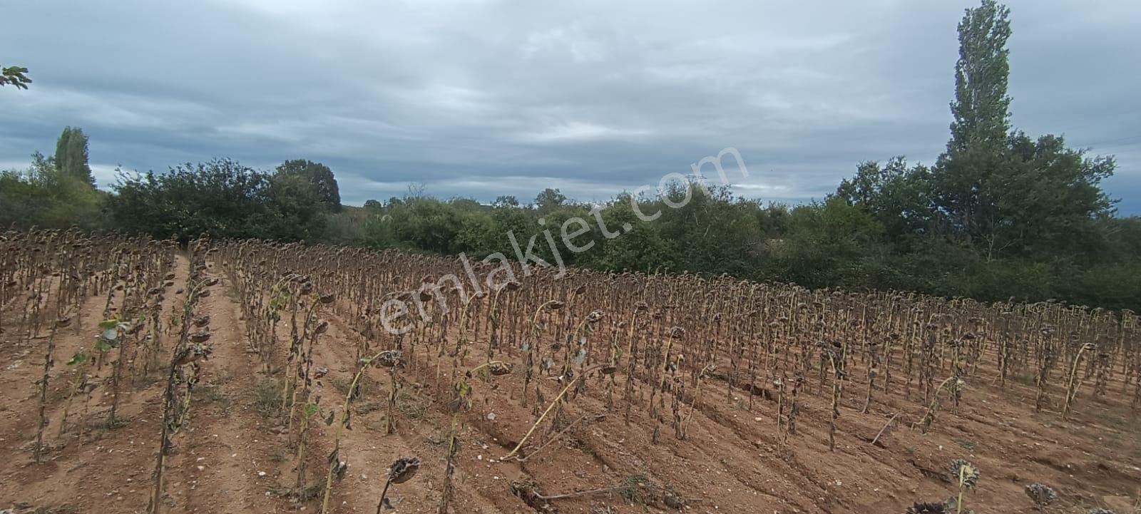 Üsküp Cevatpaşada 4173m2 Tarla - Görsel 8