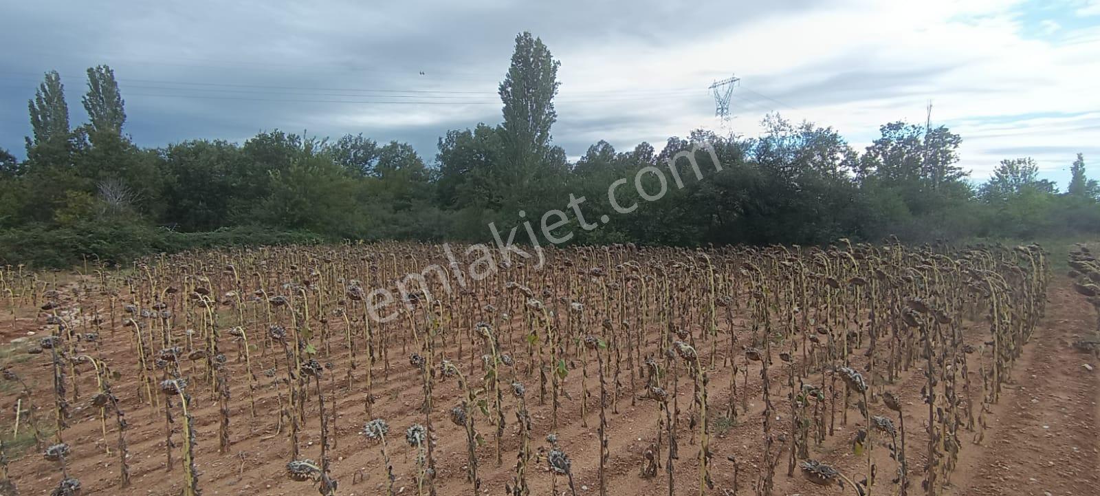 Üsküp Cevatpaşada 4173m2 Tarla - Görsel 12
